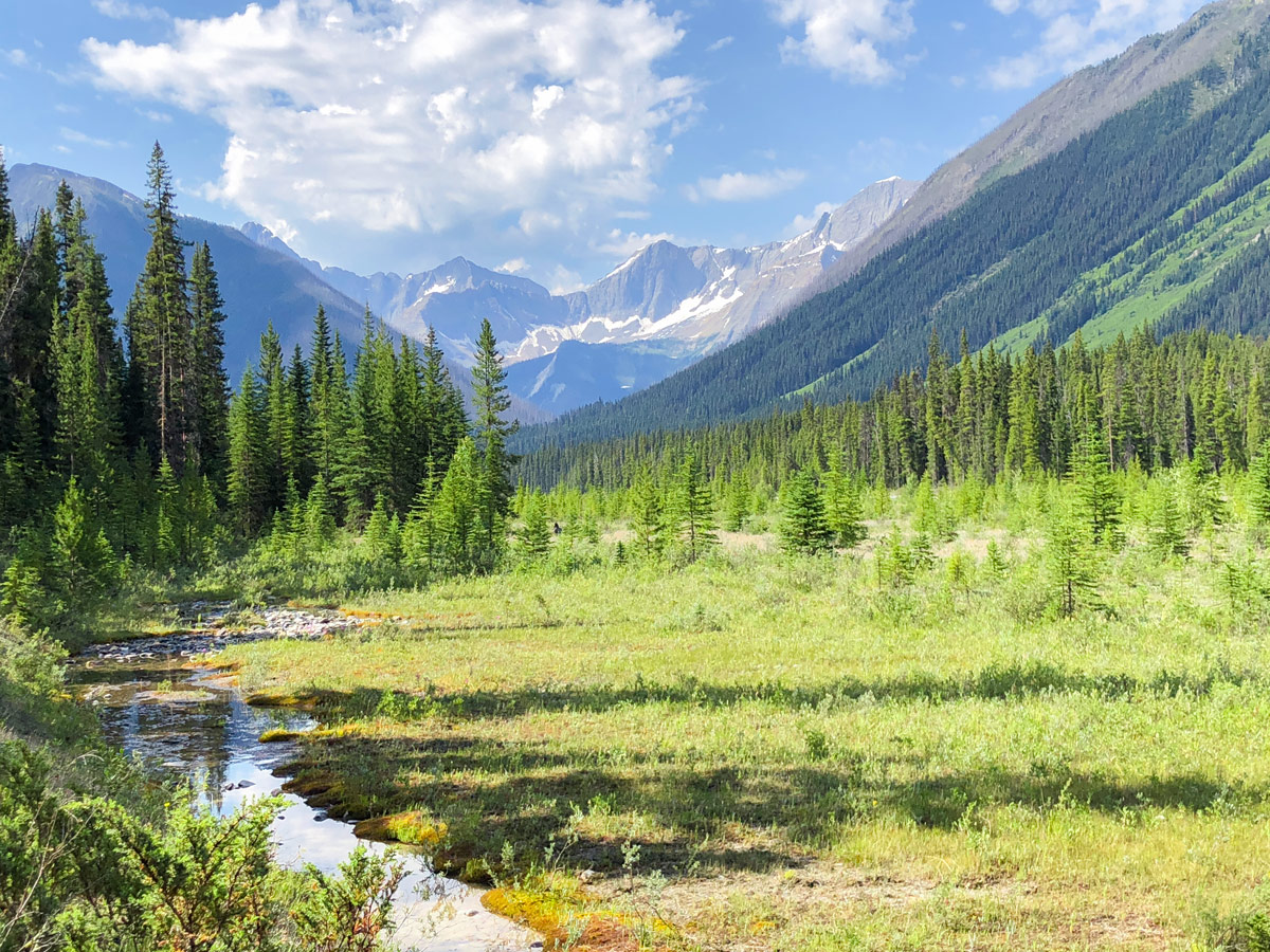 Incredible views on Paint Pots hike in Kootenay National Park