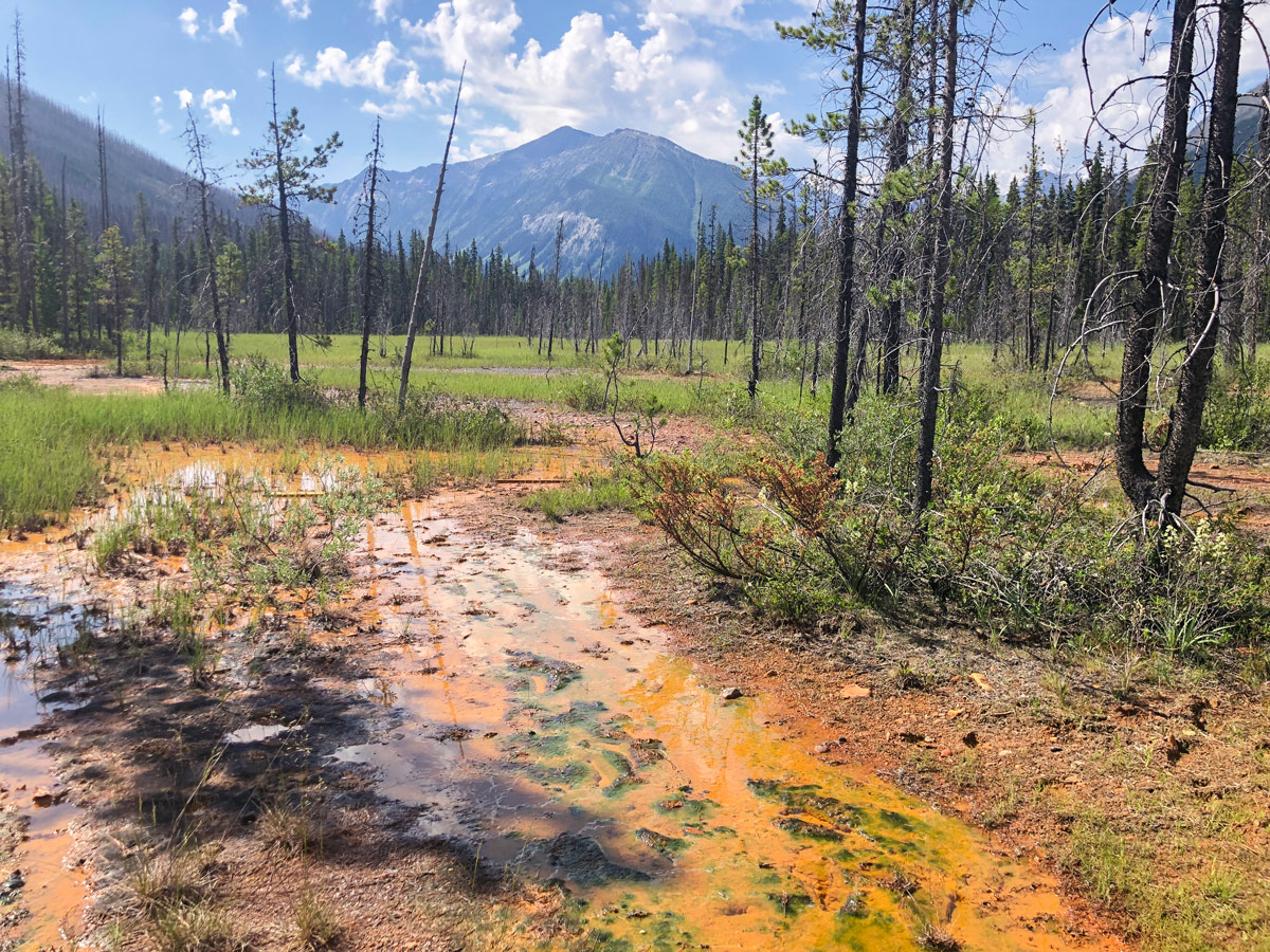 Colours on Paint Pots hike in Kootenay National Park