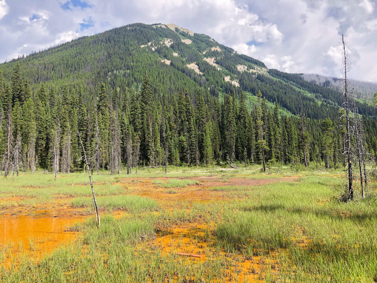 Paint Pots hike in Kootenay National Park has amazing panoramic views