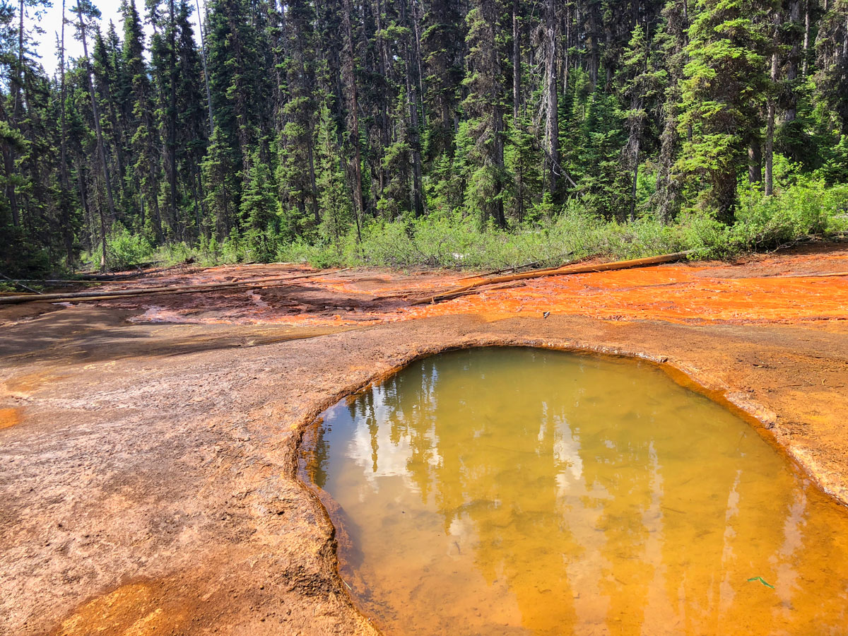 One of the water pools along the Paint Pots hike in Kootenay National Park