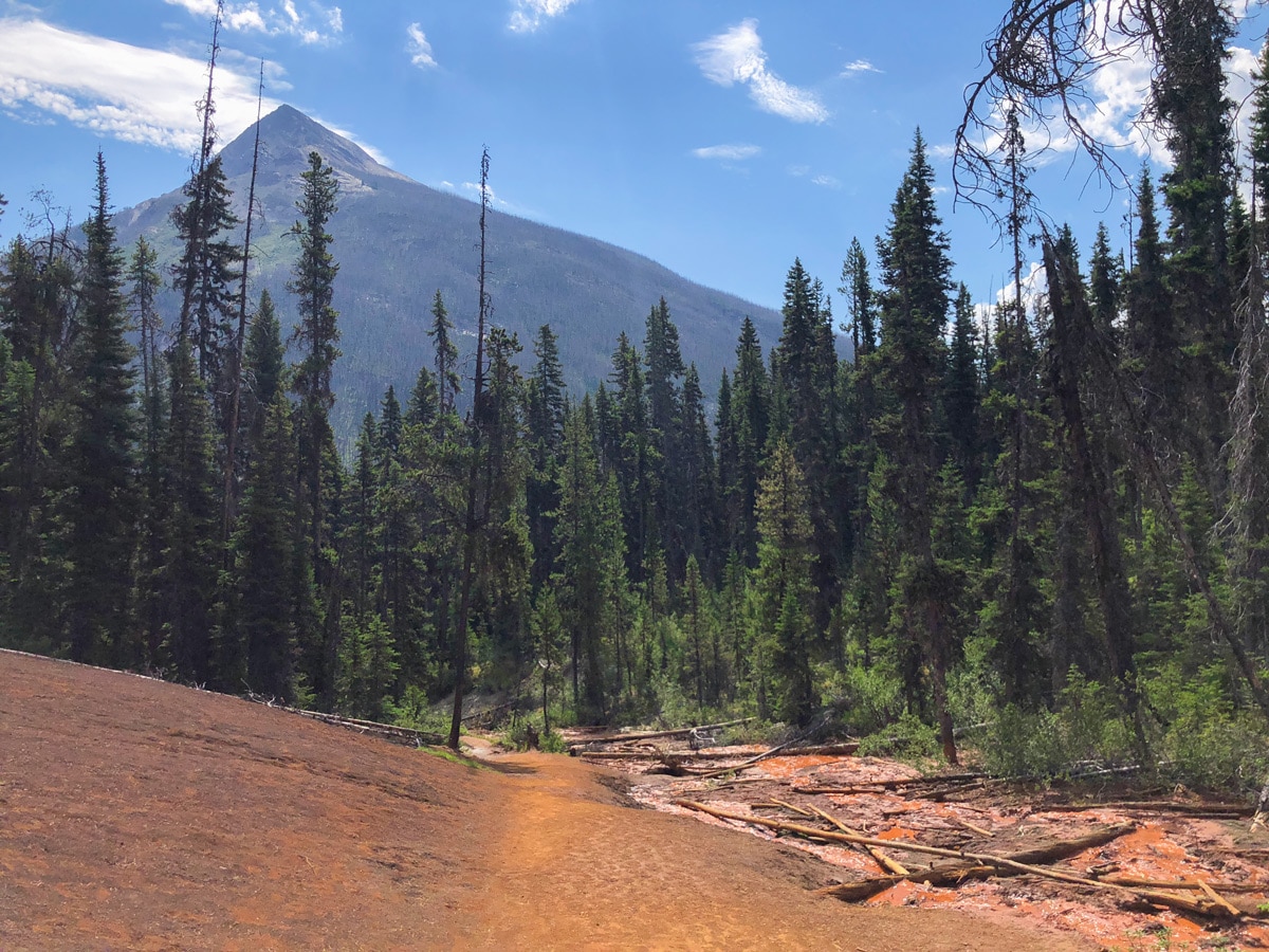 Trail of Paint Pots hike in Kootenay National Park