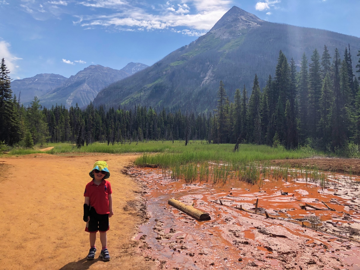 Kids enjoy Paint Pots hike in Kootenay National Park