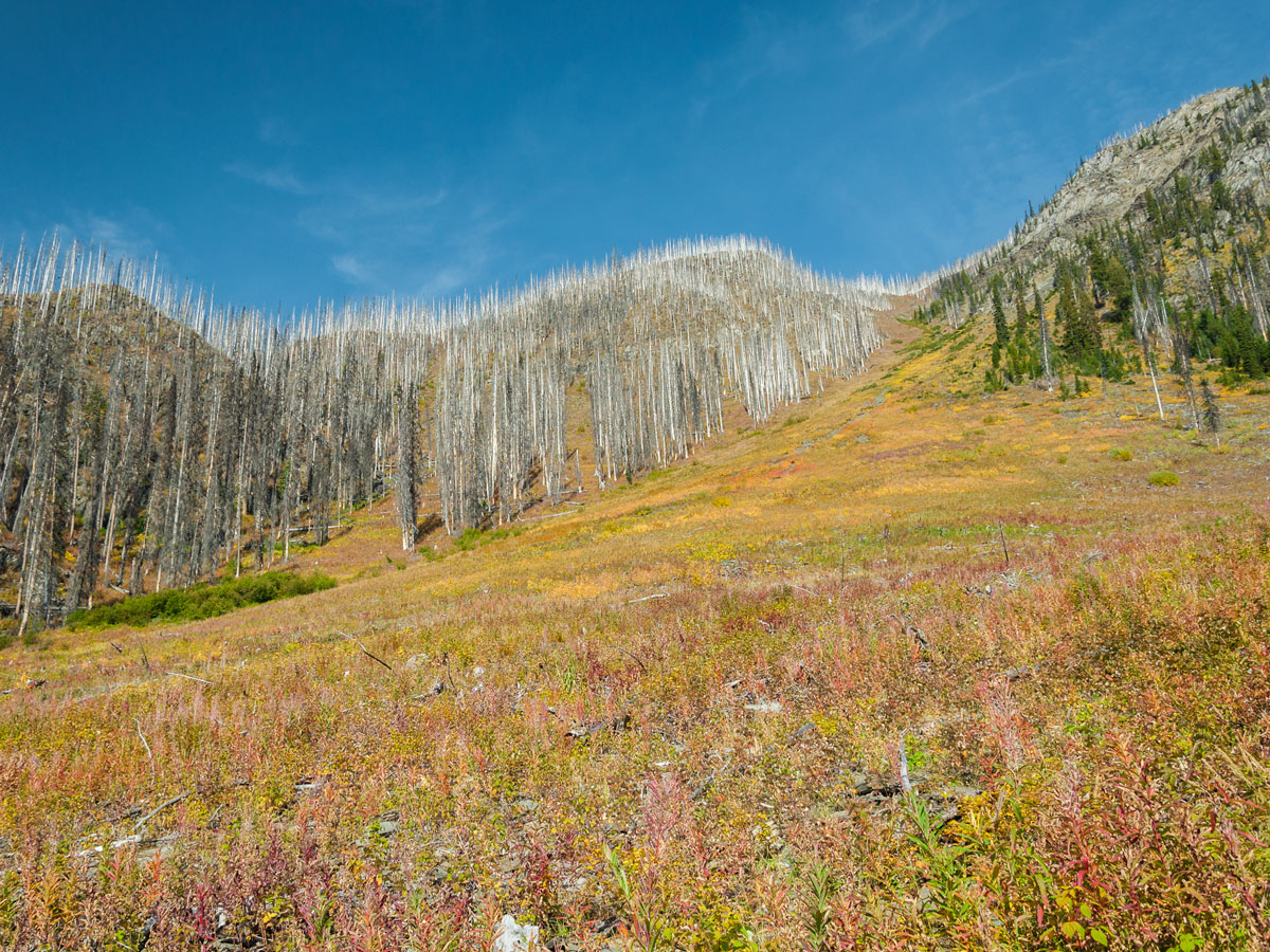 Floe Lake and Numa Pass backpacking trail in Kootenays National Park has great views