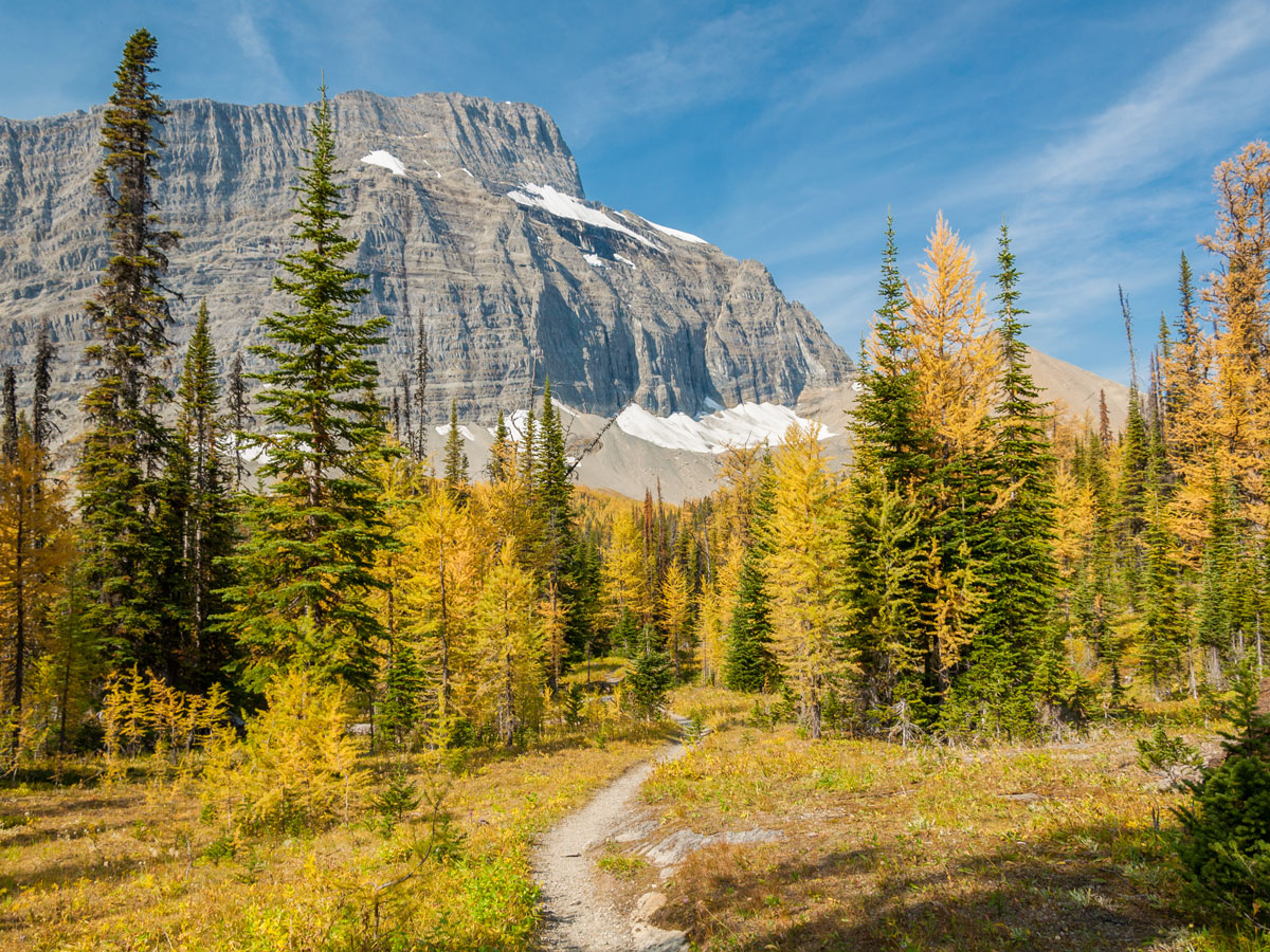 Approaching the lake on Floe Lake and Numa Pass backpacking trail in Kootenays National Park