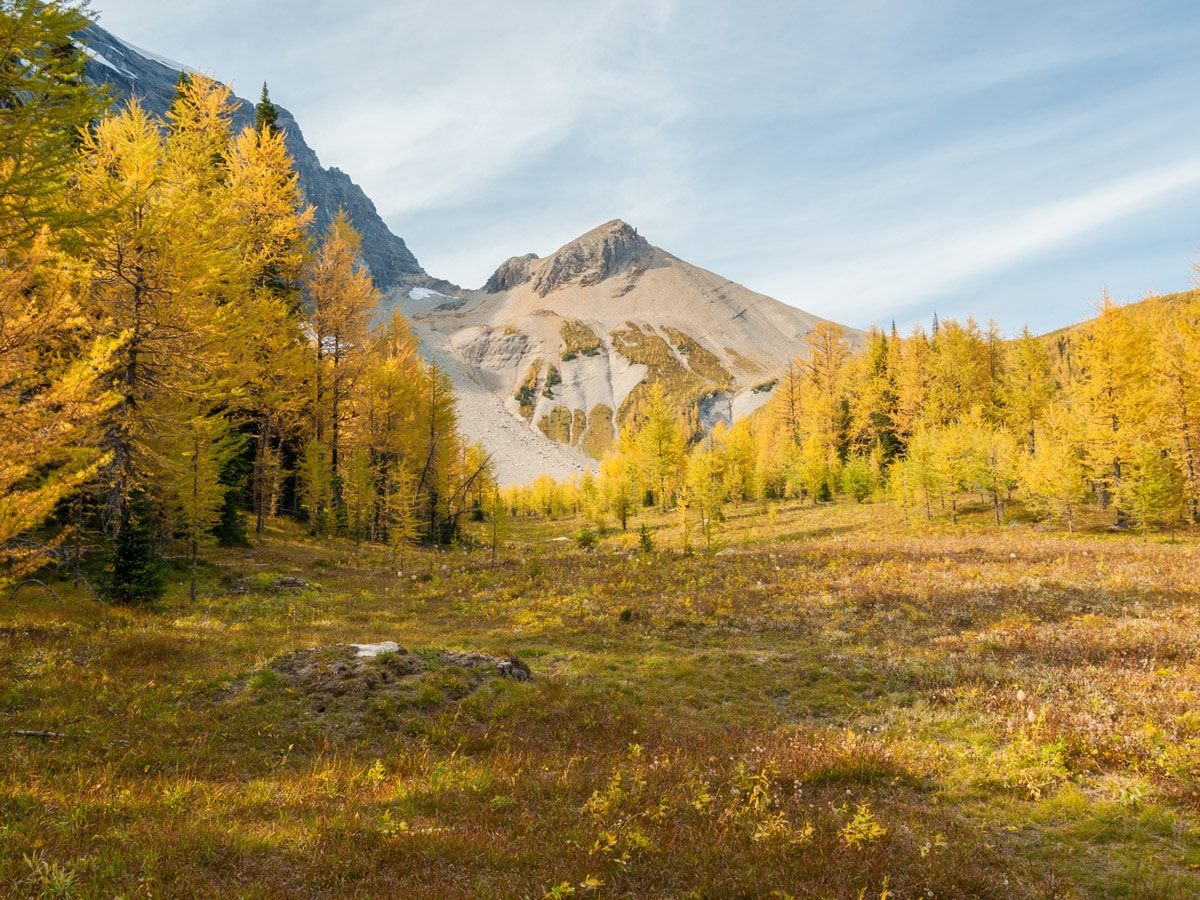 Floe Lake and Numa Pass backpacking trail in Kootenays National Park looks beautiful on autumn