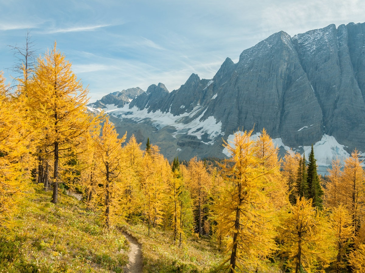 Beautiful ridge on Floe Lake and Numa Pass backpacking trail in Kootenays National Park