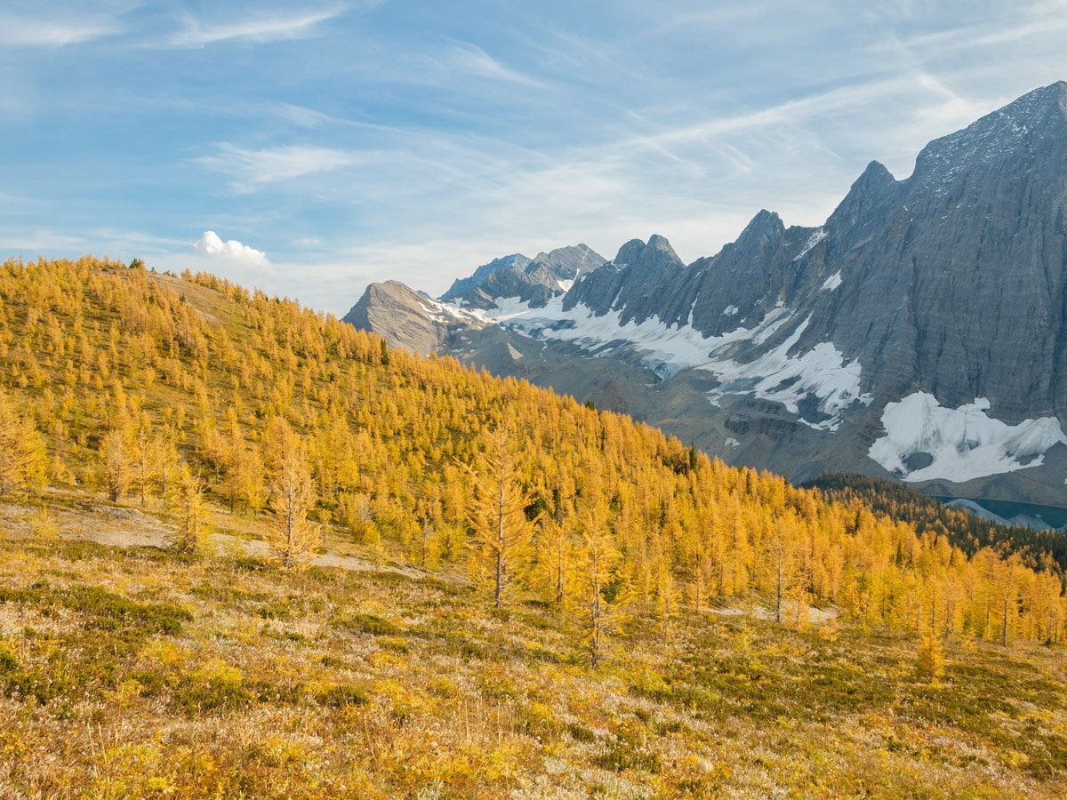 Views below Numa Pass on the Rockwall on Floe Lake and Numa Pass backpacking trail in Kootenays National Park