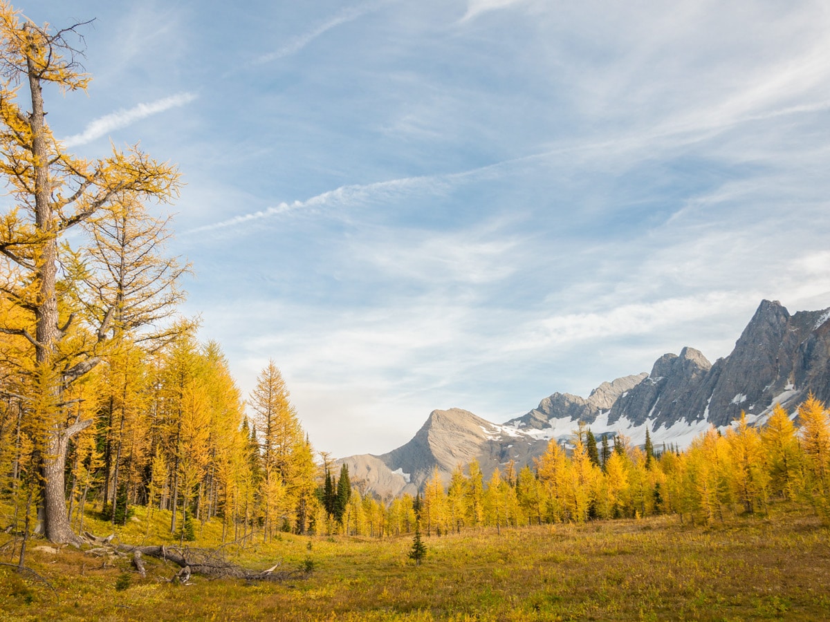 Beautiful peaks surrounding Floe Lake and Numa Pass backpacking trail in Kootenays National Park