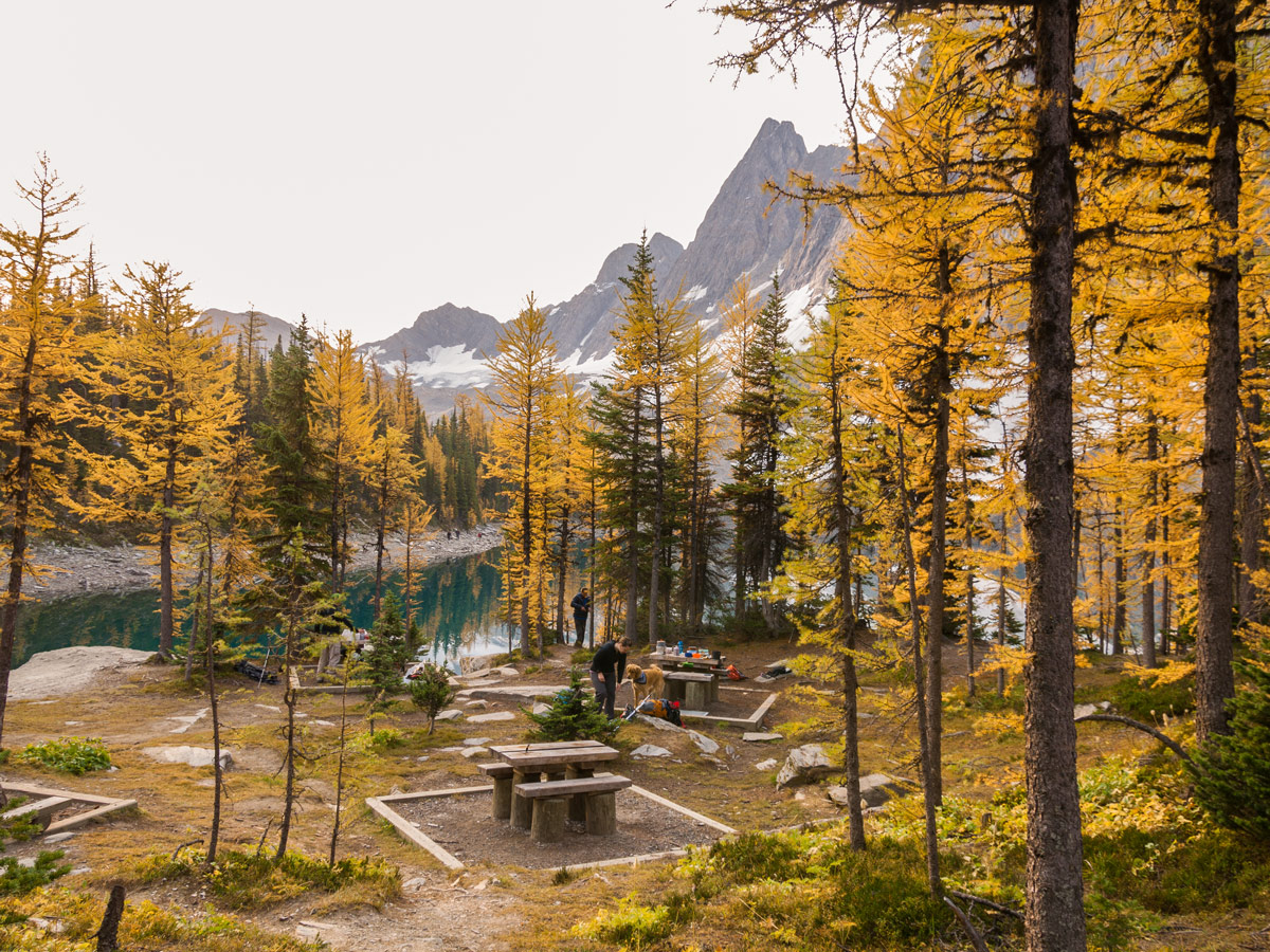 Picnic tables along Floe Lake and Numa Pass backpacking trail in Kootenays National Park