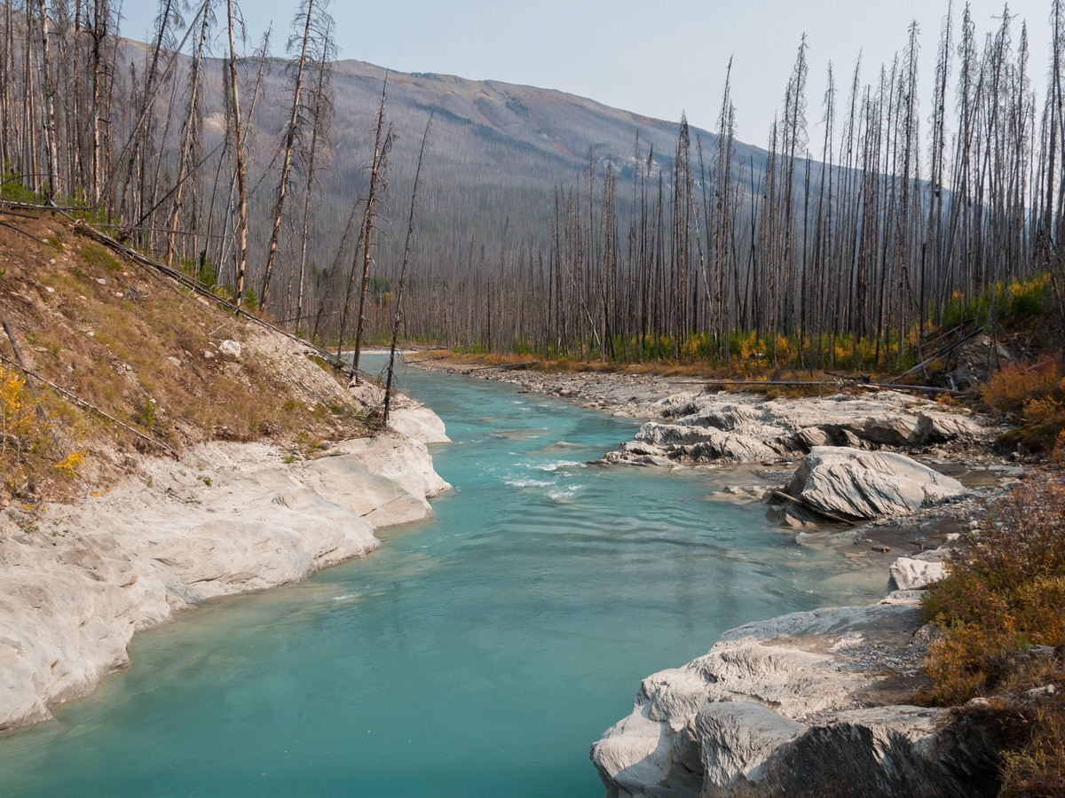 Floe Lake and Numa Pass backpacking trail in Kootenays National Park leads along Kootenay River