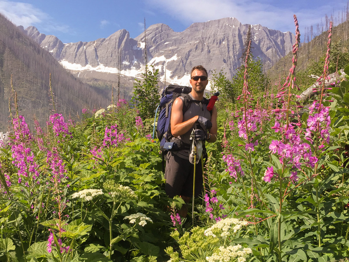 Tall fireweed on Rockwall backpacking trail in Kootenays National Park