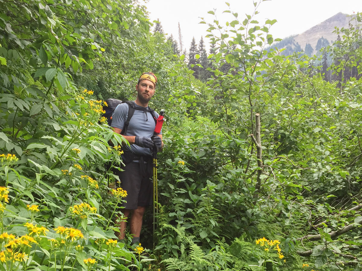 Overgrown wet pass on Rockwall backpacking trail in Kootenays National Park