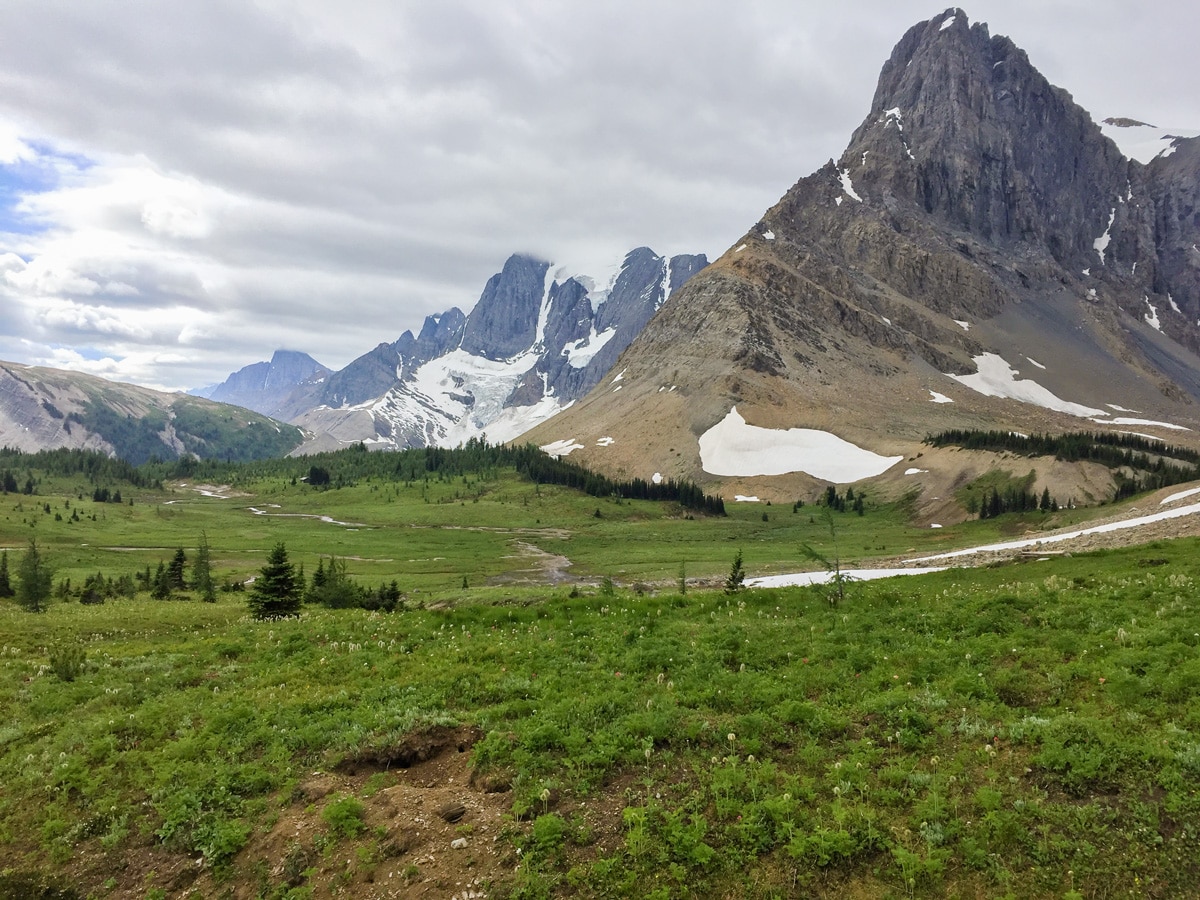 Wolverine Pass meadow on Rockwall backpacking trail in Kootenays National Park
