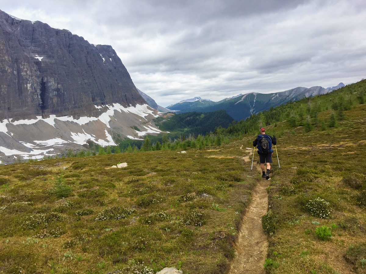Path between Wolverine Pass and Limestone Summit on Rockwall backpacking trail in Kootenays National Park