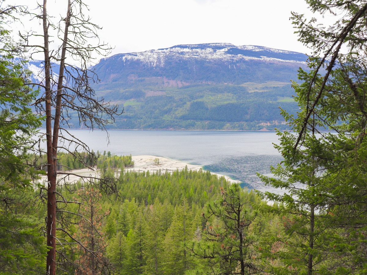 Fry Creek Canyon hike in West Kootenays has beautiful descending views