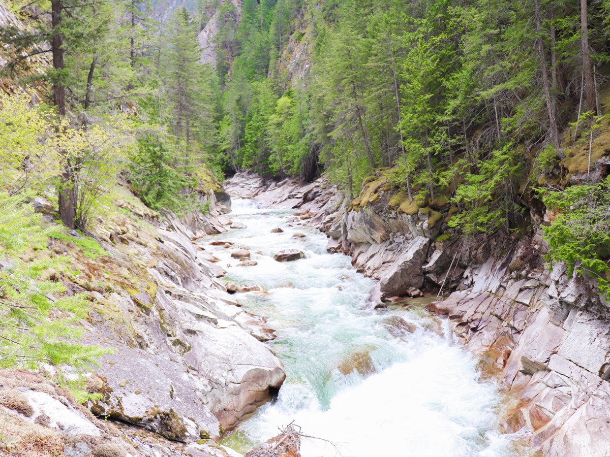 Fry Creek Canyon hike in West Kootenays has beautiful ascent views