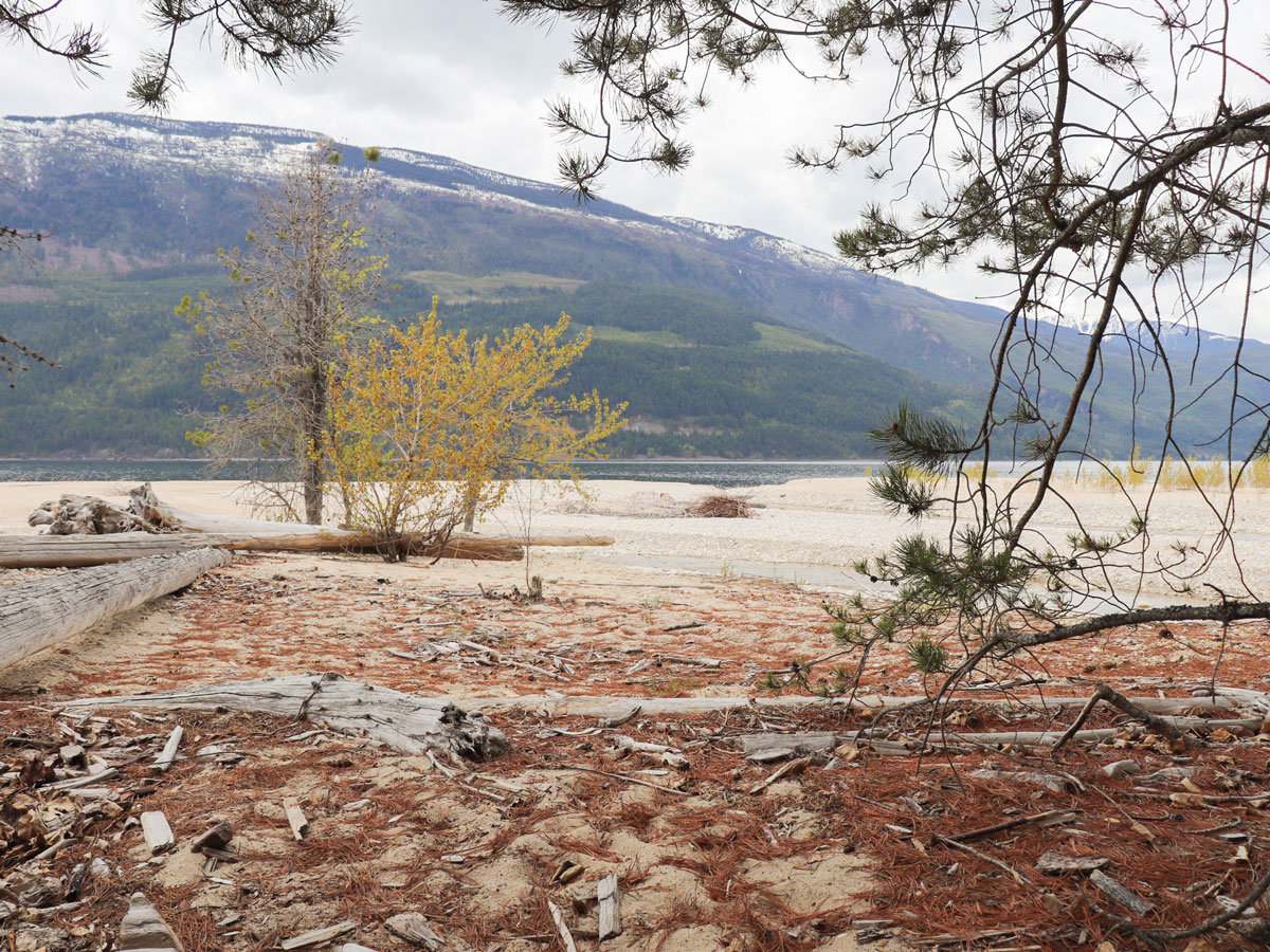 Fry Creek Canyon hike in West Kootenays leads through small beach