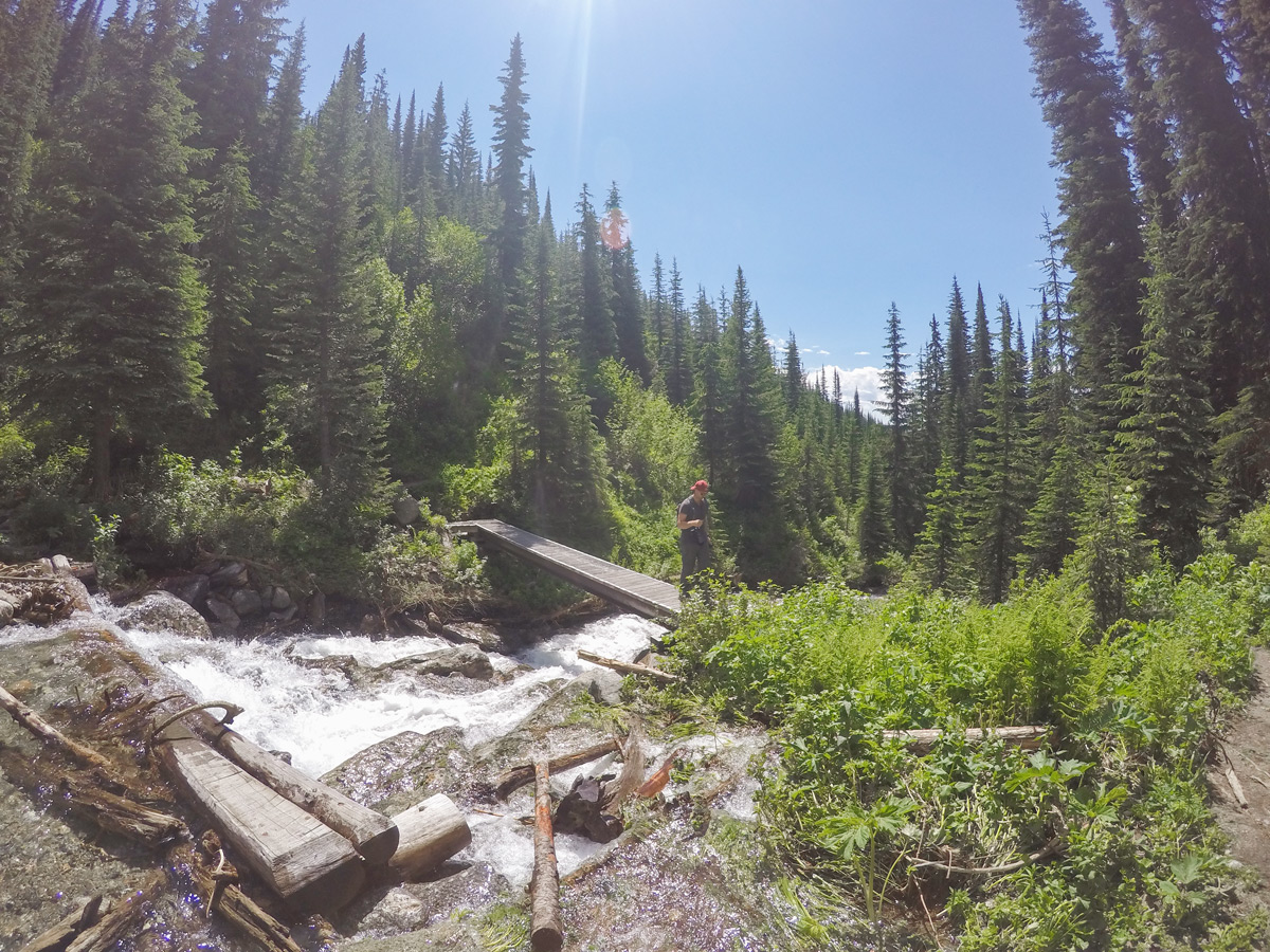 Gimli Ridge hike in West Kootenays leads through the river crossing