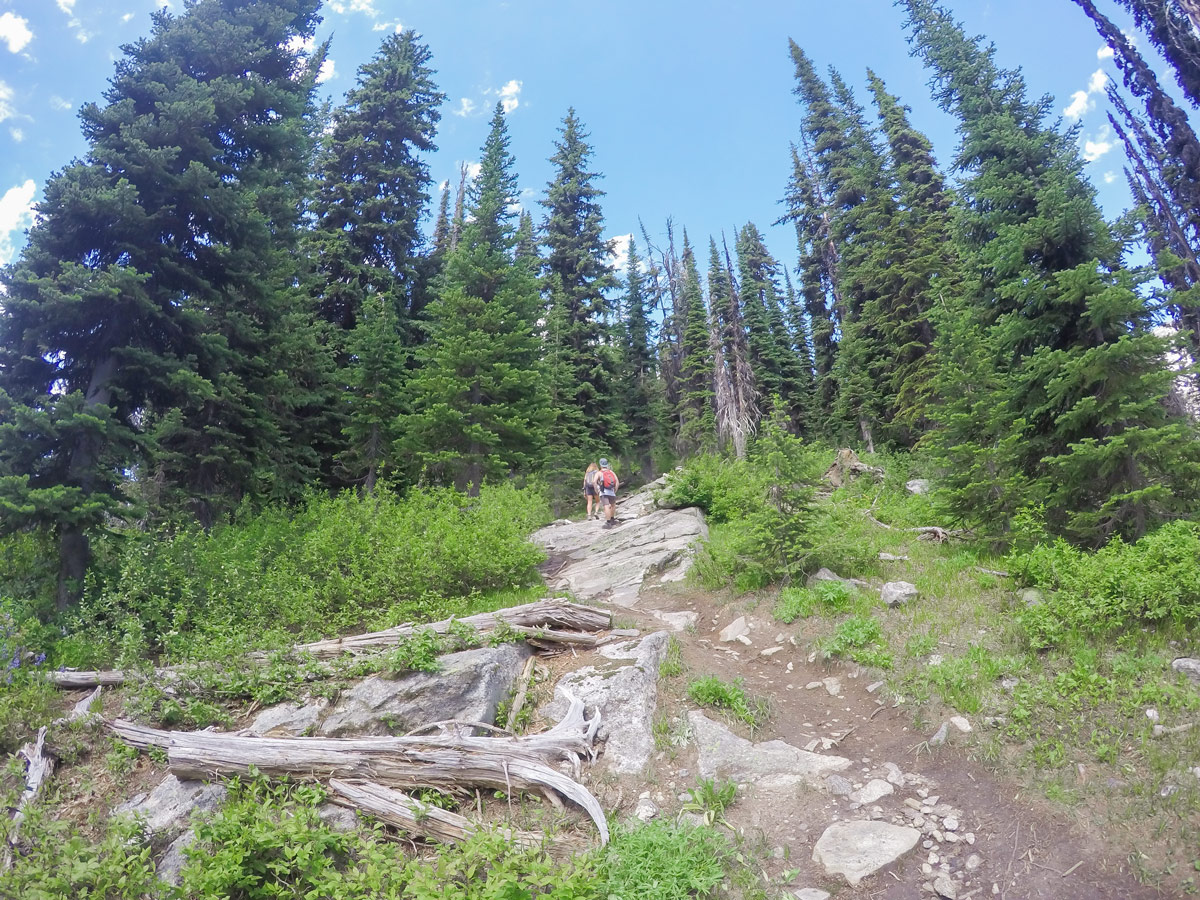 Before the ascent on Gimli Ridge hike in West Kootenays, the Canadian Rockies