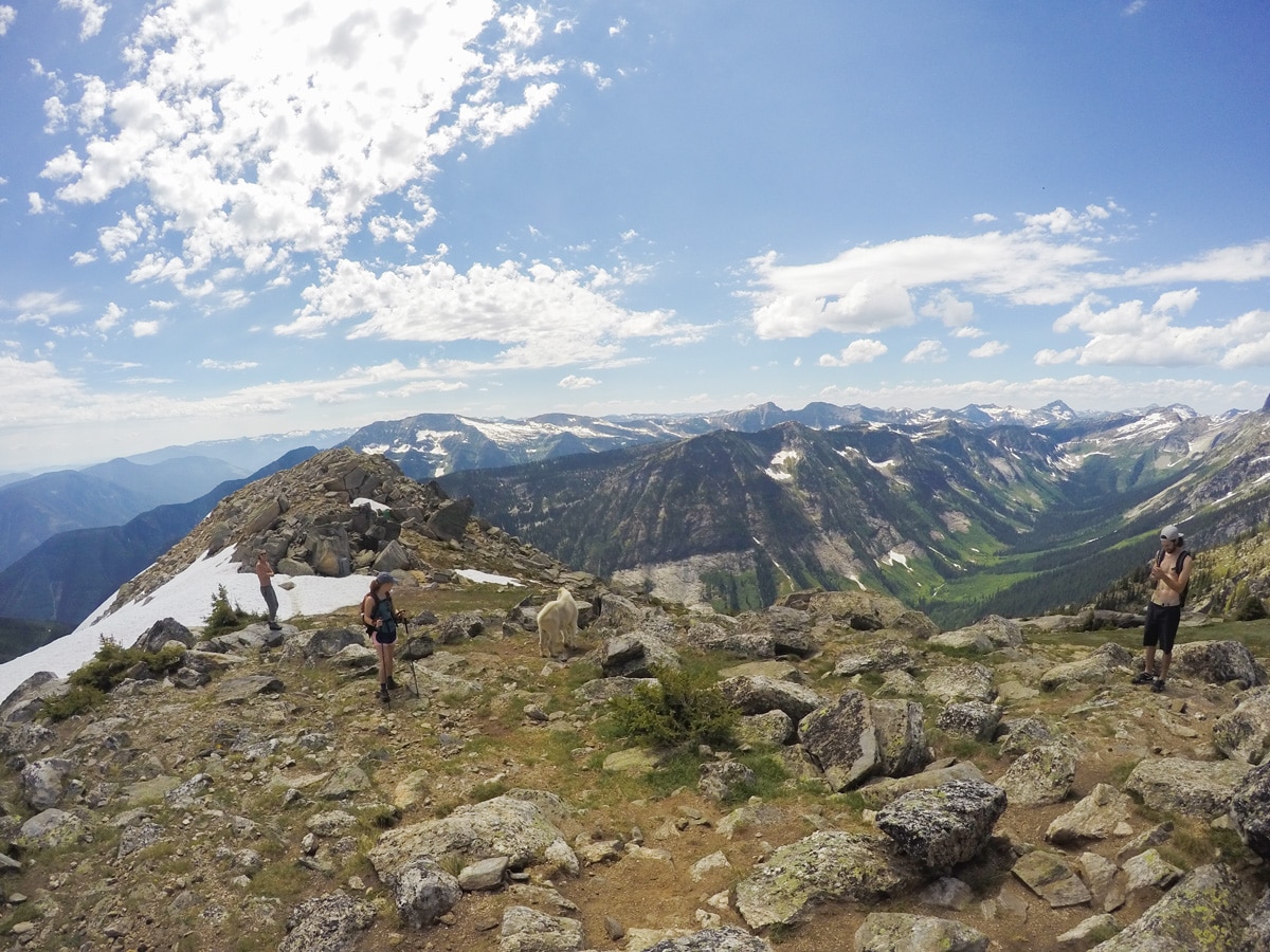 Gimli Ridge hike in West Kootenays has beautiful panoramic views