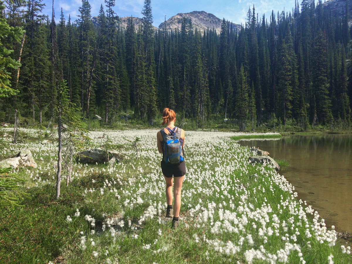 Unnamed lake along the Gwillim Lakes hike in West Kootenays