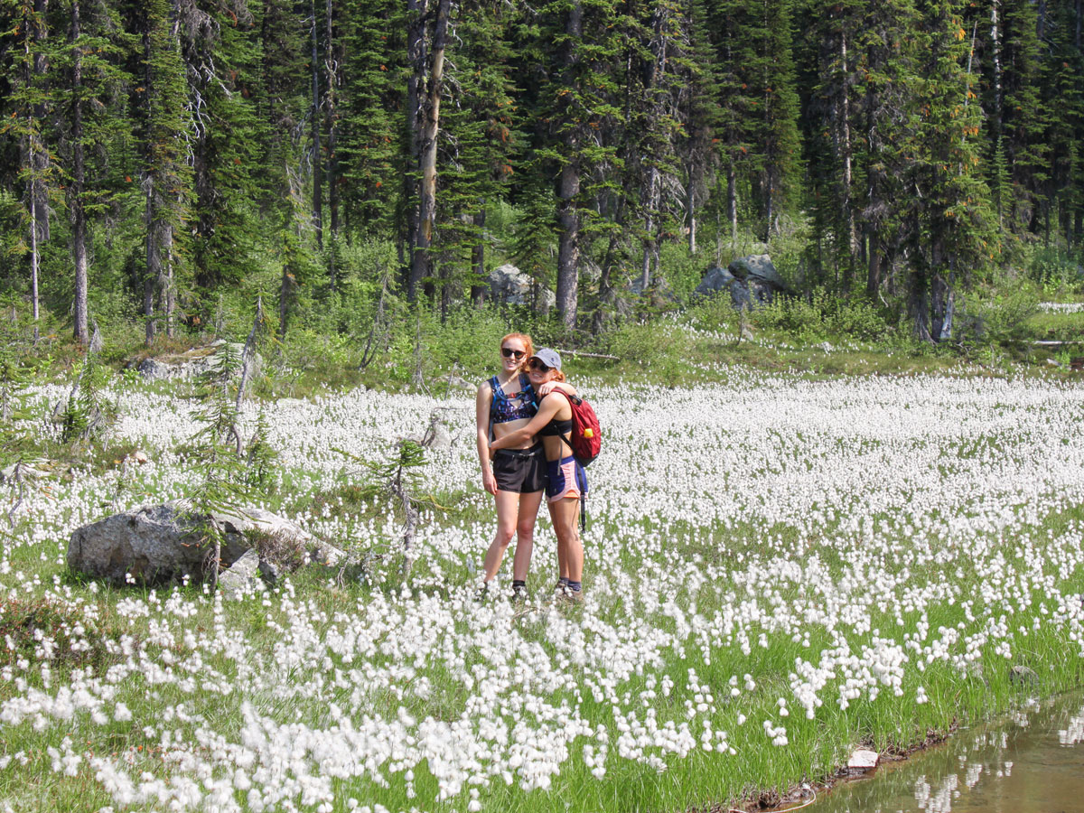 Trail through fields and meadows on Gwillim Lakes hike in West Kootenays