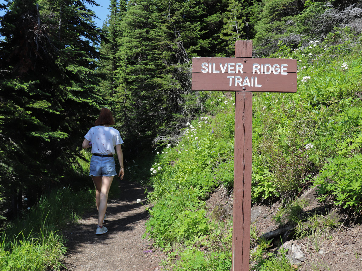 Trailhead of Idaho Peak trail in West Kootenays, BC