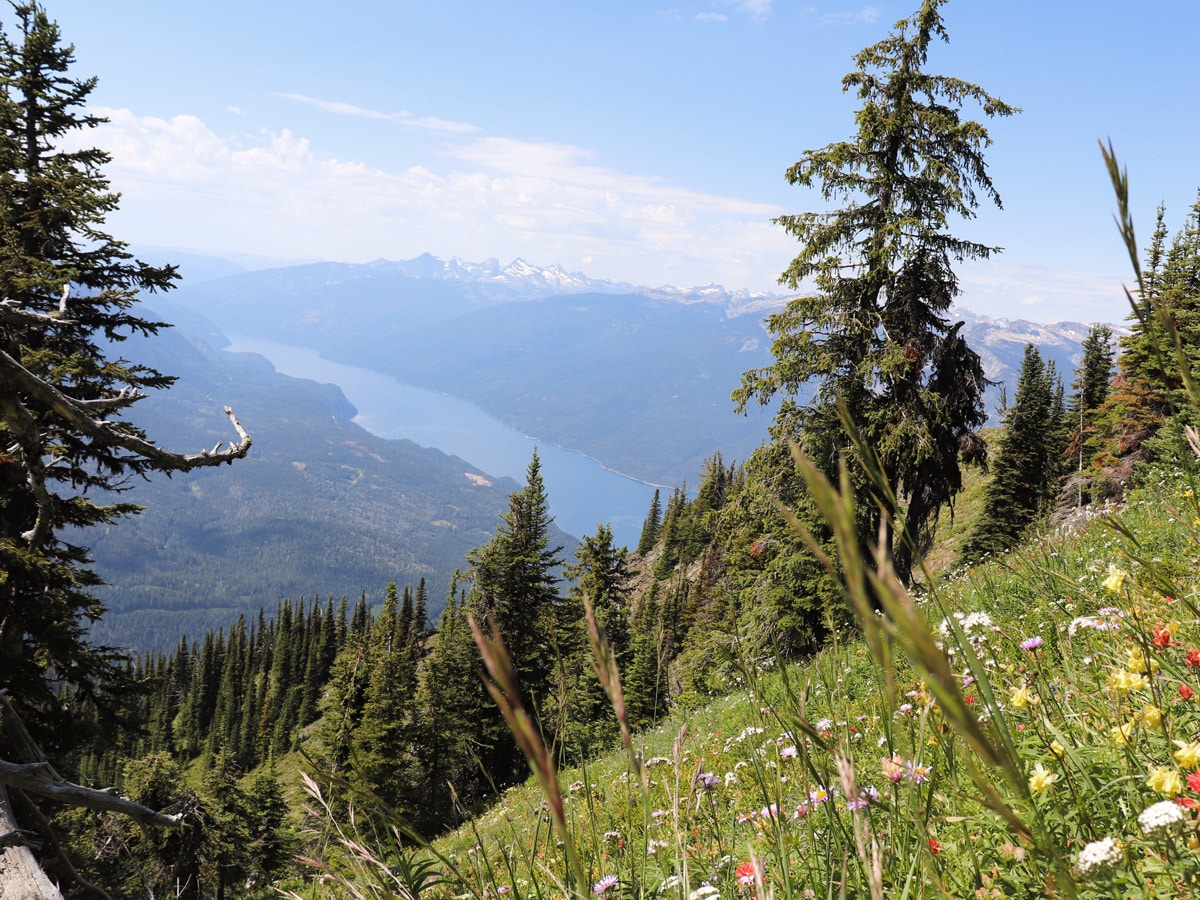 Wildflowers and Slocan Lake on Idaho Peak hike in West Kootenays, BC