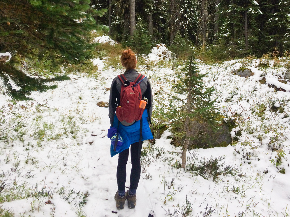 Trail views on Jumbo Pass and Horseshoe Glacier hike in West Kootenays