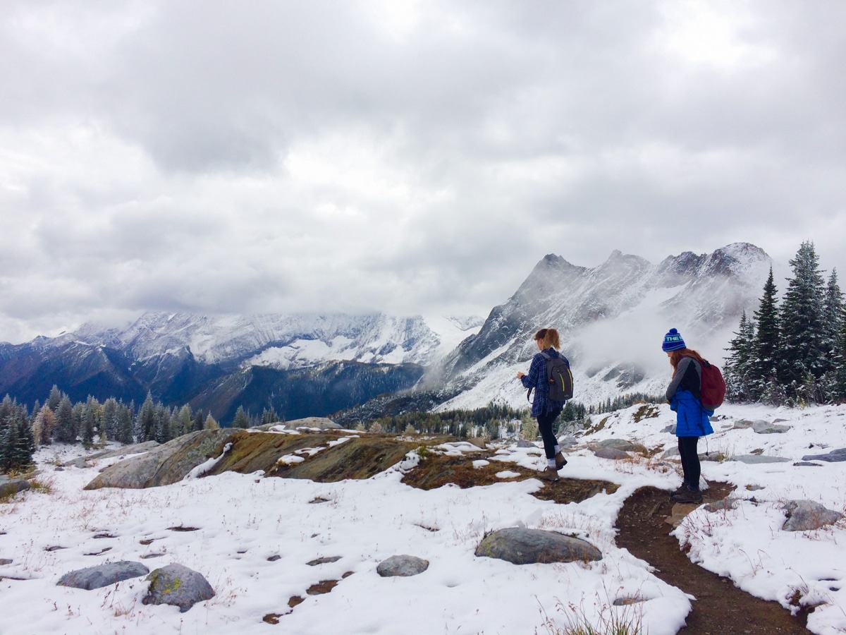 Tree line ends on Jumbo Pass and Horseshoe Glacier hike in West Kootenays