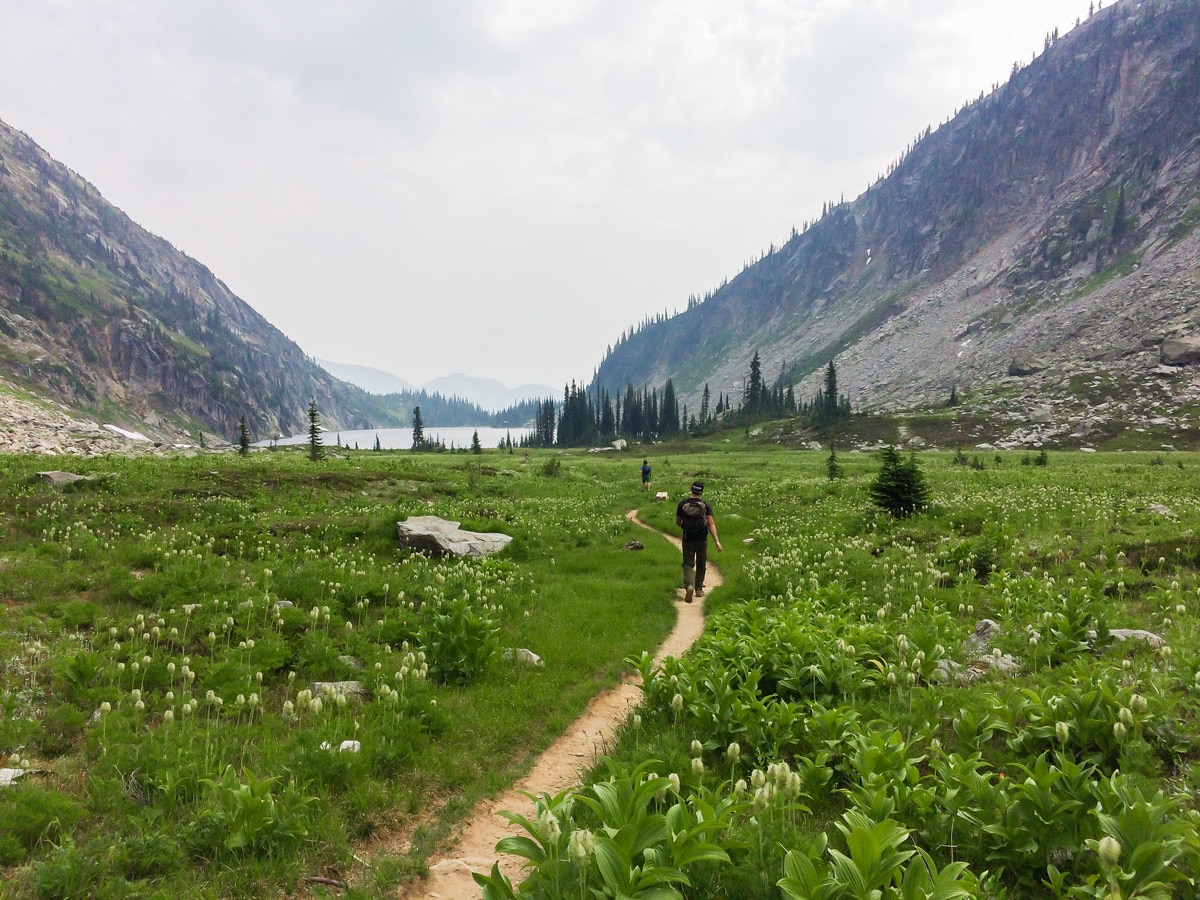 Meadows along the trail on Kokanee Glacier Cabin hike in West Kootenays