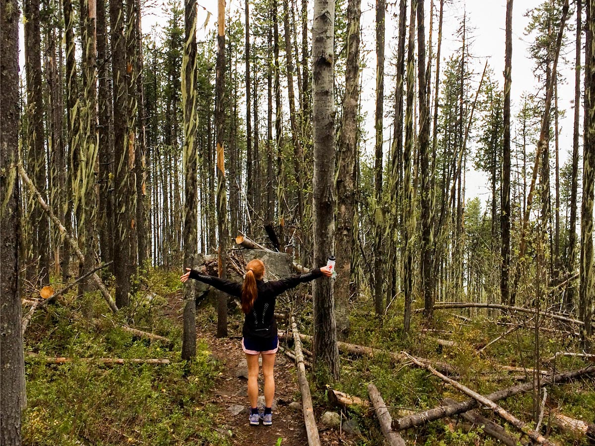 Pulpit Rock & the Flagpole hike in West Kootenays has a beautiful overlook