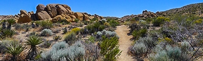 Hiking trails in California, US