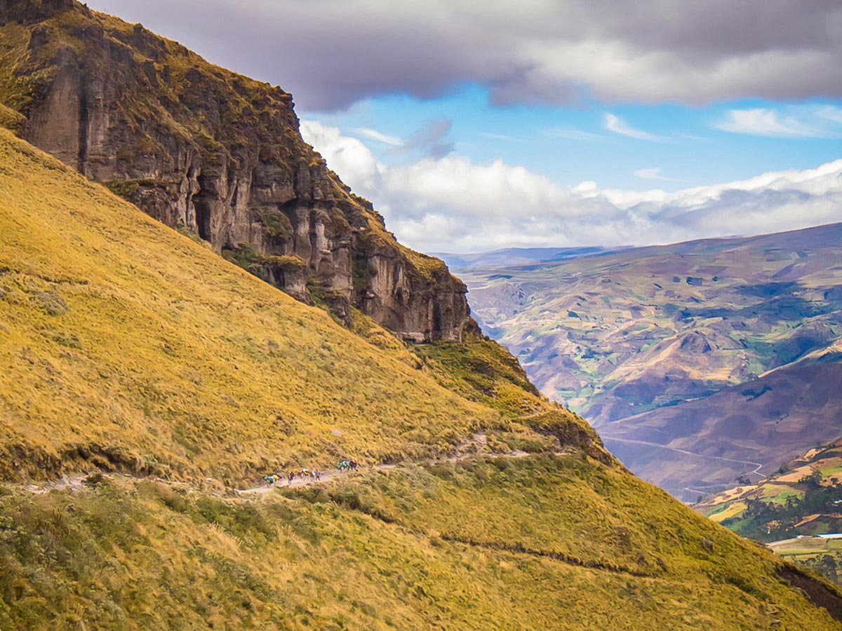 Donkeys on Ecuador Inca Trail trek