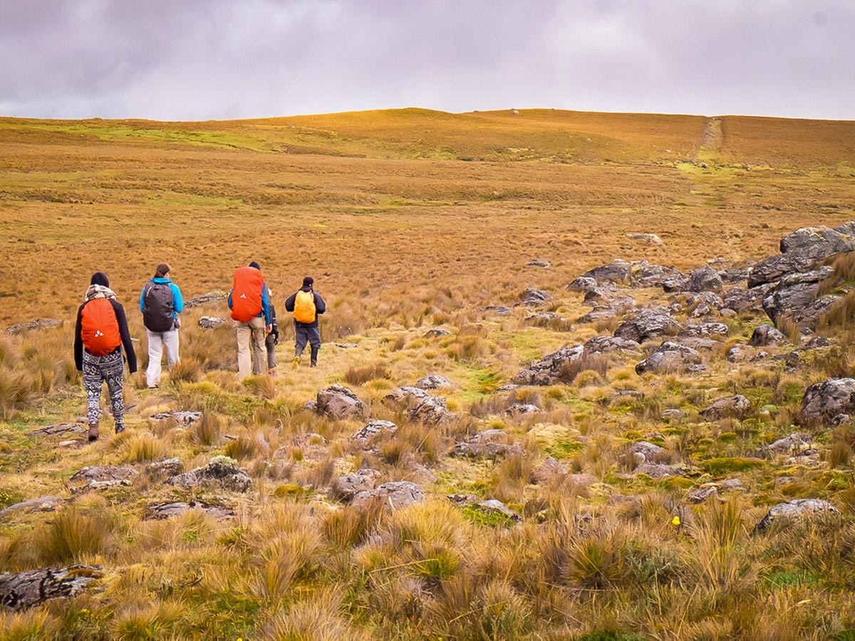 Inca Royal Road on Ecuador Inca Trail trek