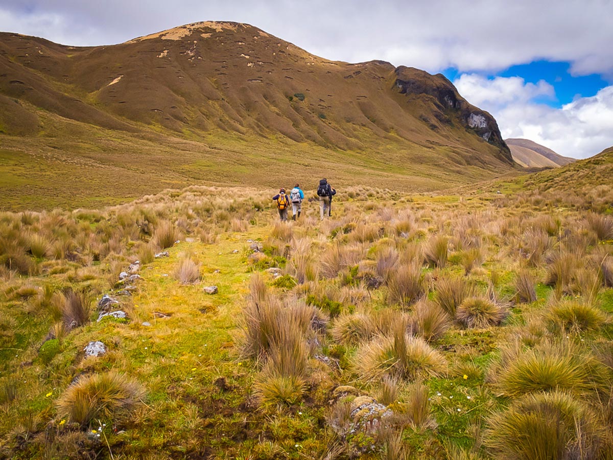 Road remnant of Ecuador Inca Trail trek