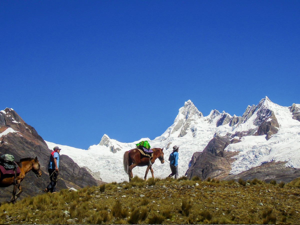 Horses carrying Loads trekking in Cordillera Blanca on guided tour