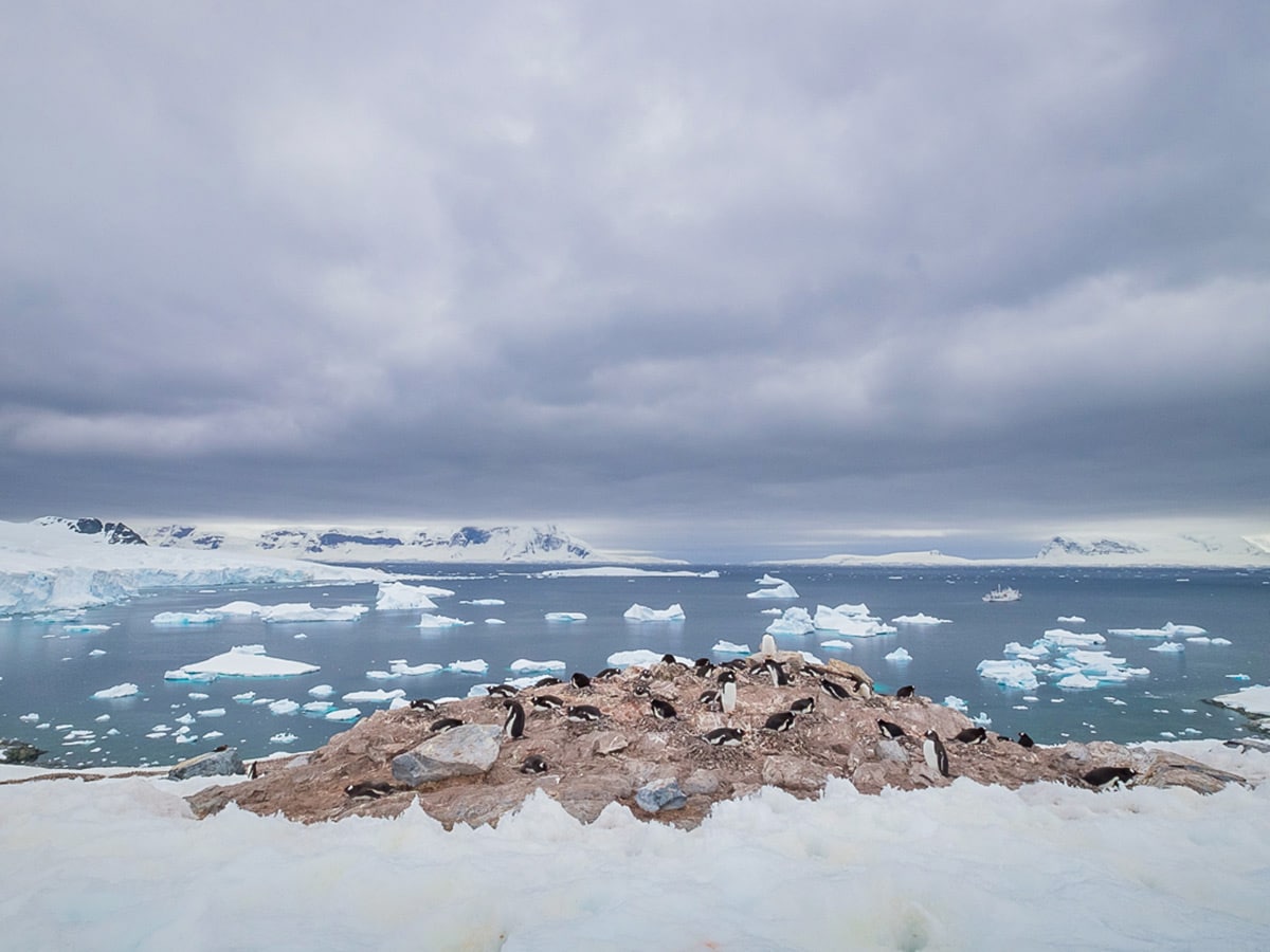 Visiting Antarctica while traveling full-time