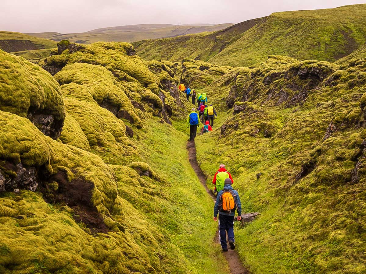 Land of green trolls on Iceland’s Volcanic Trails Trek