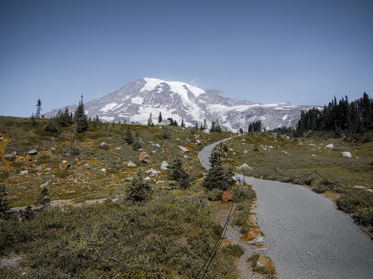 Sunrise Rim Trail in Rainier National Park (Washington) is one of 10 best hikes in the United States