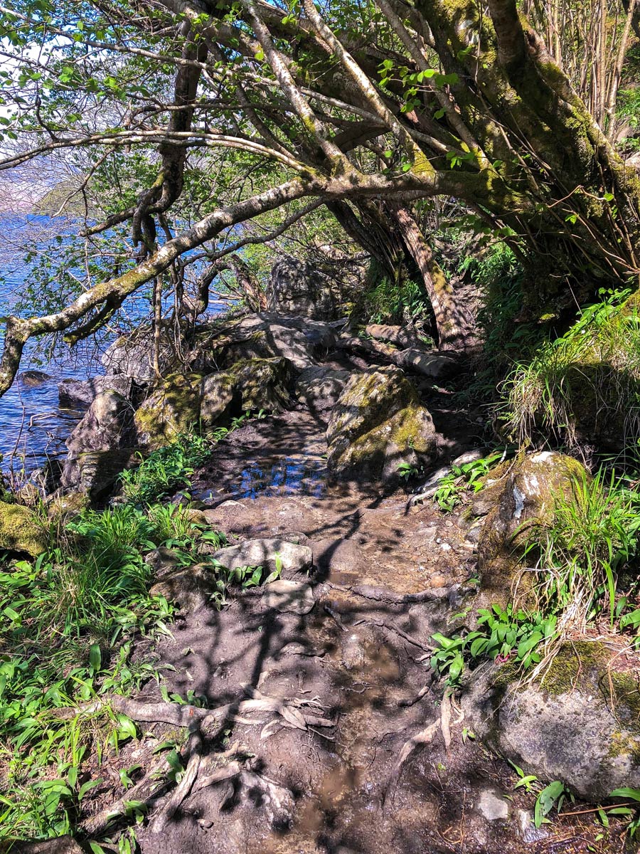 Small puddle on West Highland Way Trek