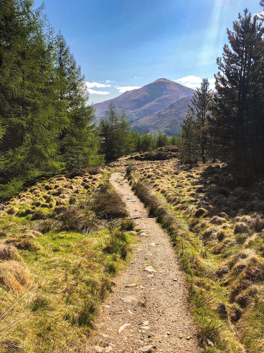 Beautiful views on West Highland Way trek