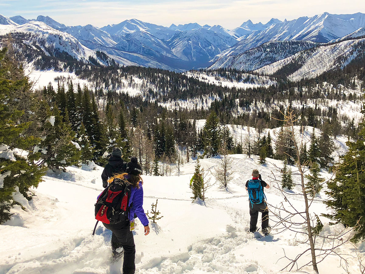 Group of snowshoers in Sunshine Valley during the winter in Canadian Rockies