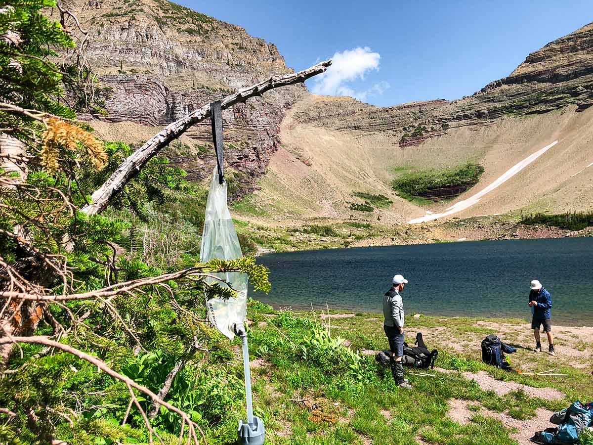 Platypus GravityWorks 2.0 Water Filter kit hanging near the lake on a hike