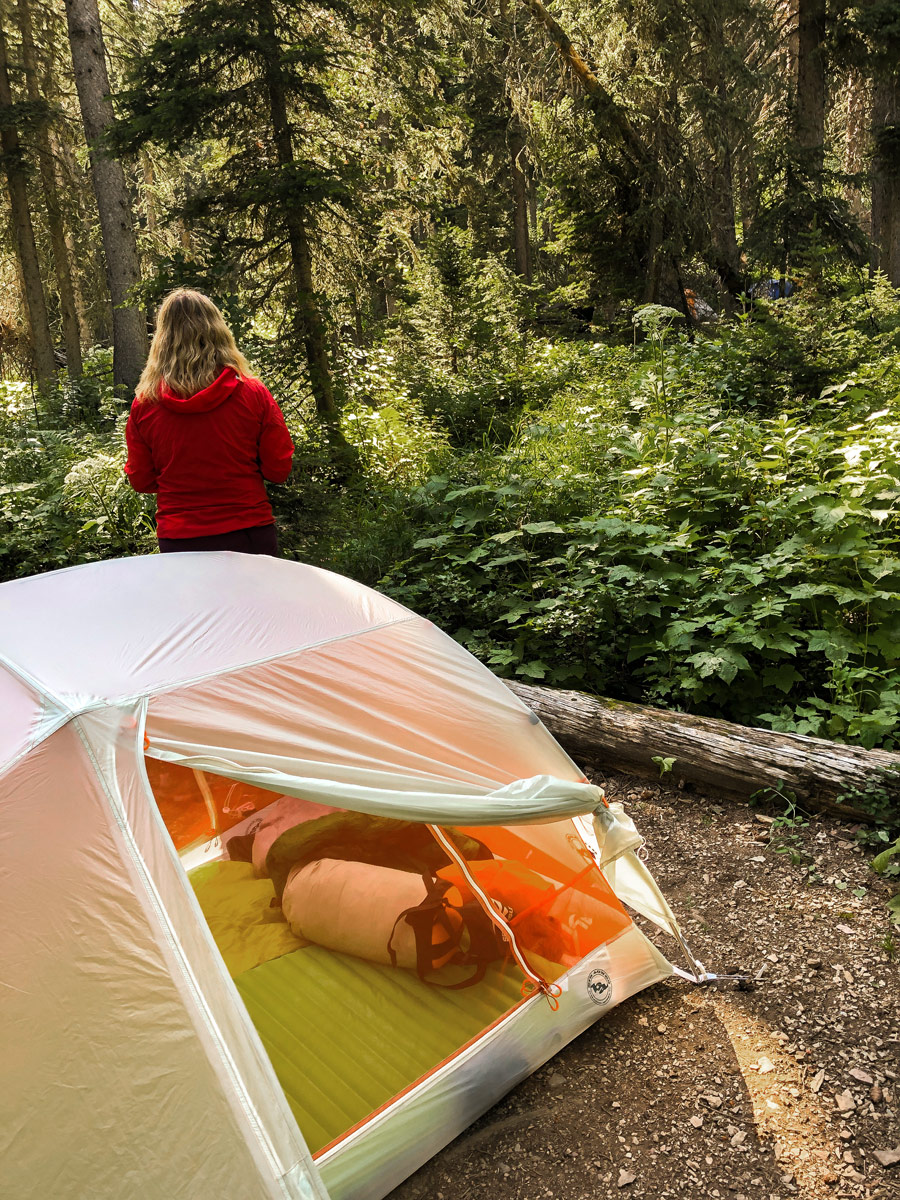 Big Agnes Copper Spur 2 Platinum Tent in dense forest on backpacking trip