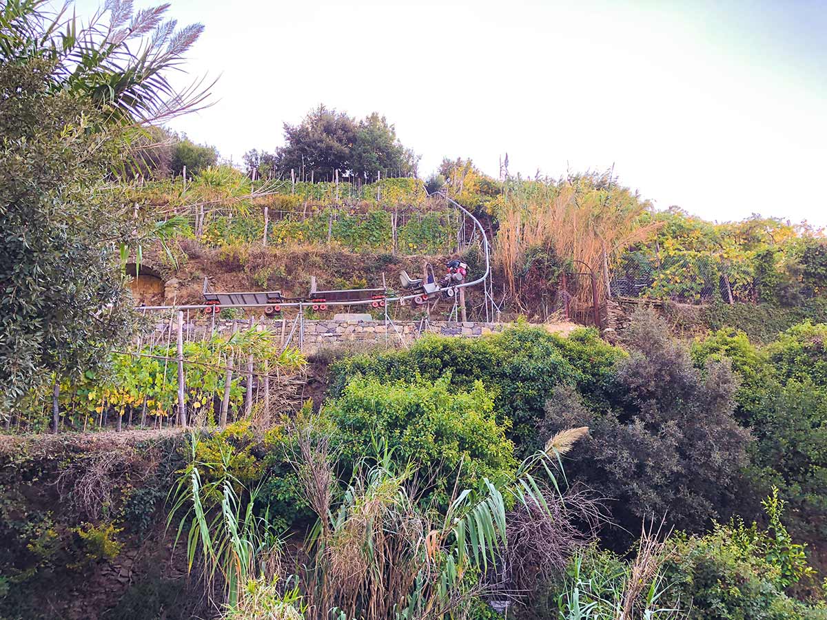 Grape harvesting machine in the vineyard on Cinque Terre hike in Liguria, Italy