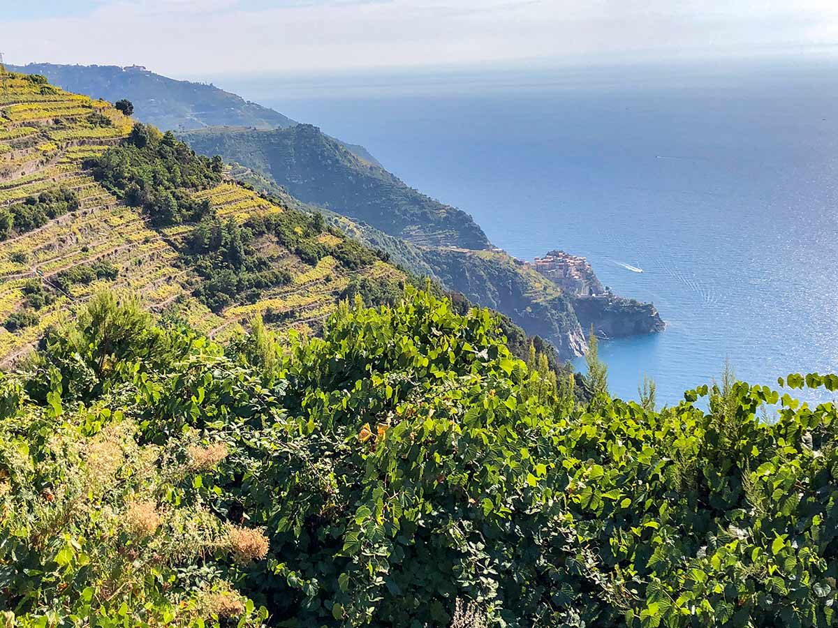 High path to Manarola on Cinque Terre trail in Liguria region, Italy
