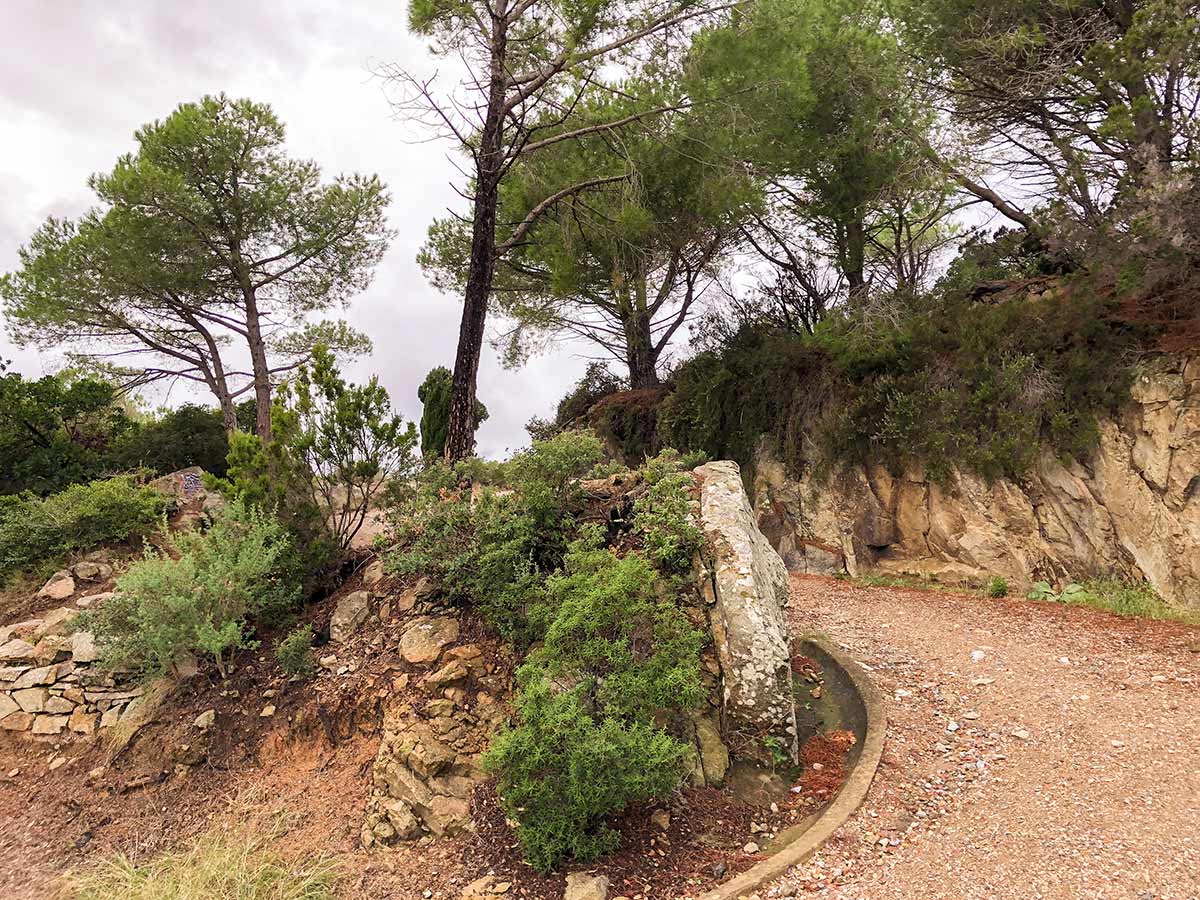 Beautiful flora along the trail of Enfola Peninsula Hike in Elba Island, Tuscany