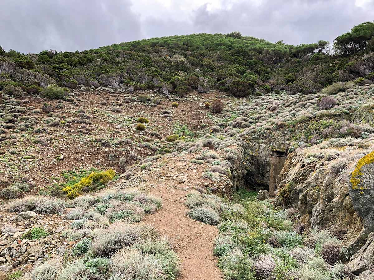 Wide path of Enfola Peninsula Hike in Elba Island, Tuscany