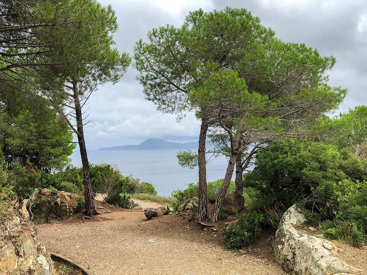 Amazing views from Enfola Peninsula Hike in Elba Island, Tuscany